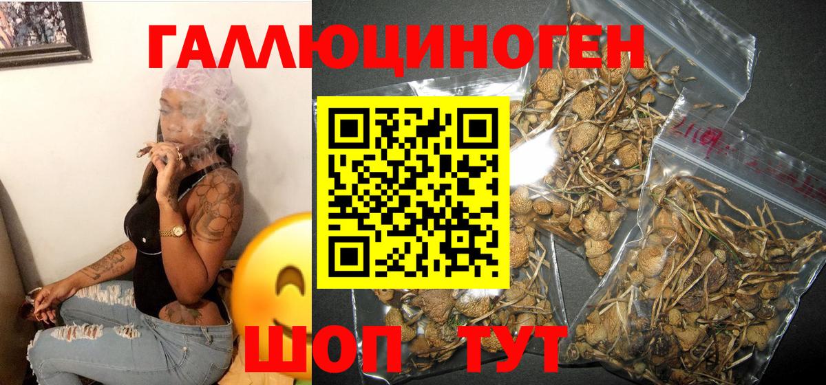 Галлюциногенные грибы MAGIC MUSHROOMS Махачкала